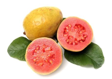 the guava is the fruit produced by guava.