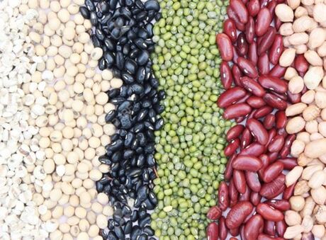 Fast Source Trading Black Beans Haricot Beans Kidney Beans Mung Beans Green Beans Pinto Beans Lima Beans B2brazil Named for its colorful beans, the you can either harvest pinto beans as immature and green pods to be eaten fresh or wait for them to. fast source trading black beans