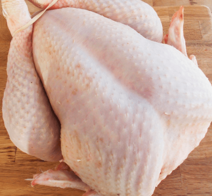 Deonlybegotten WHOLESALE HALAL FROZEN WHOLE CHICKEN WITH AND WITHOUT